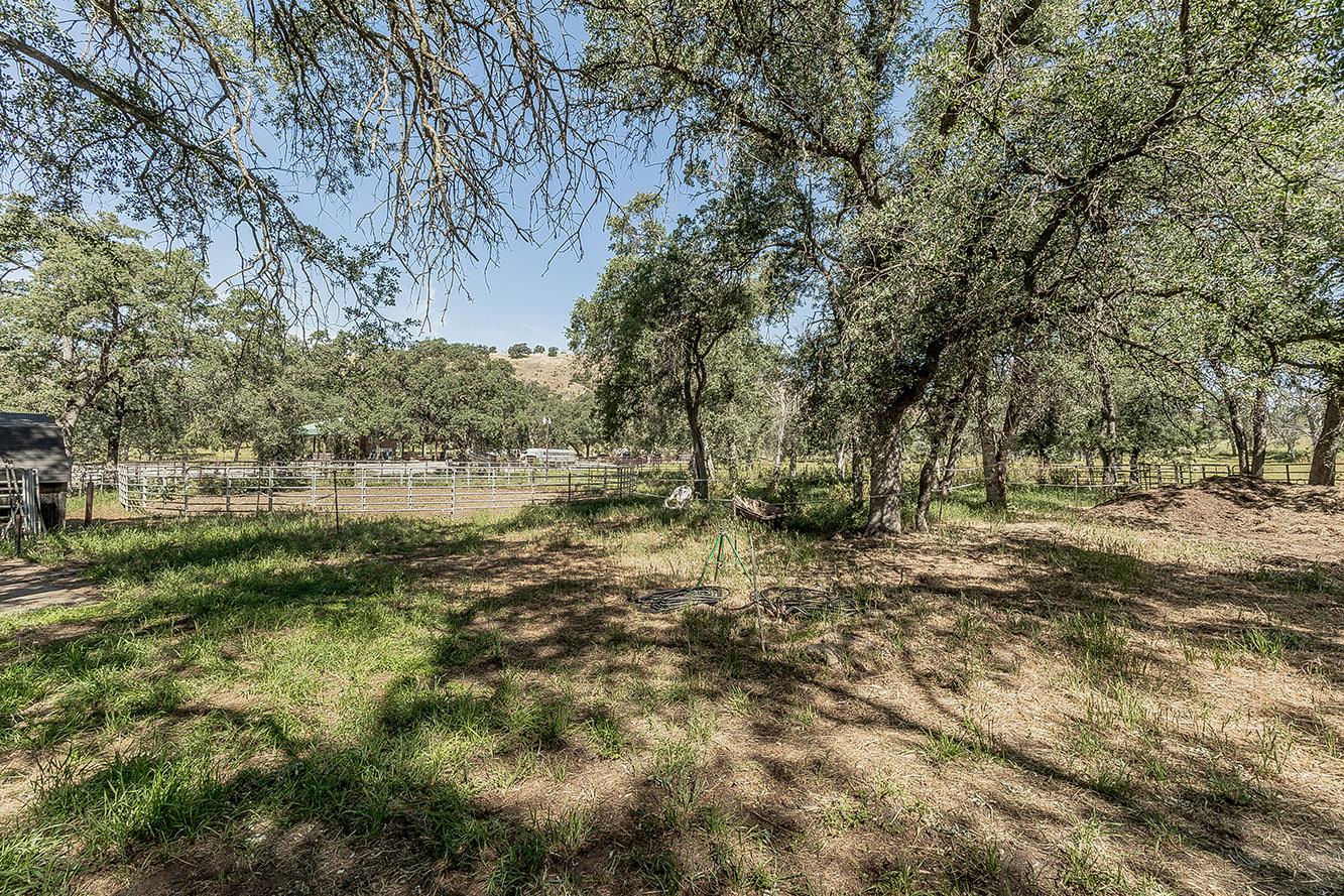 26045 Pittman Hill (Sales Crk) Road, Clovis, CA, 93619