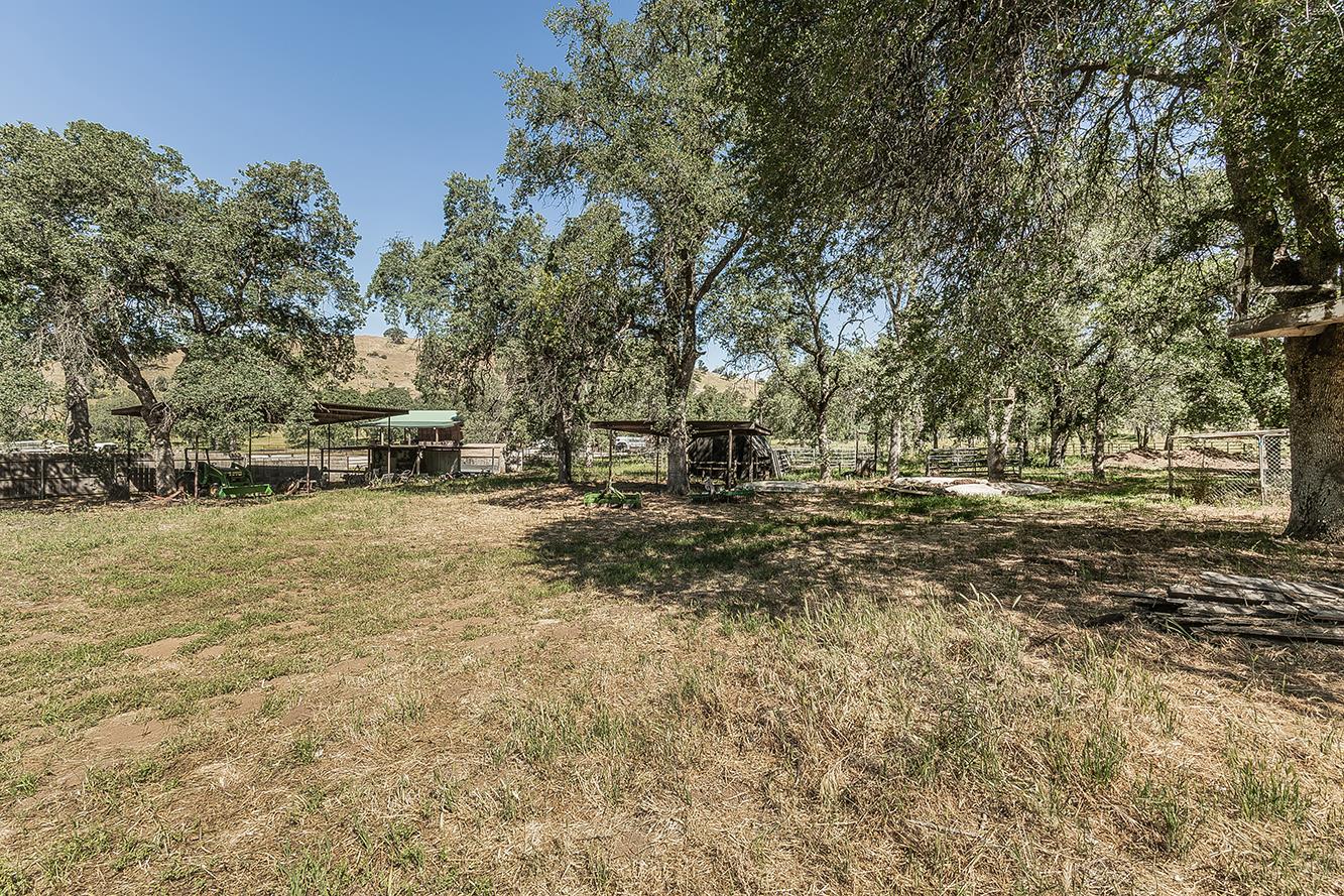 26045 Pittman Hill (Sales Crk) Road, Clovis, CA, 93619