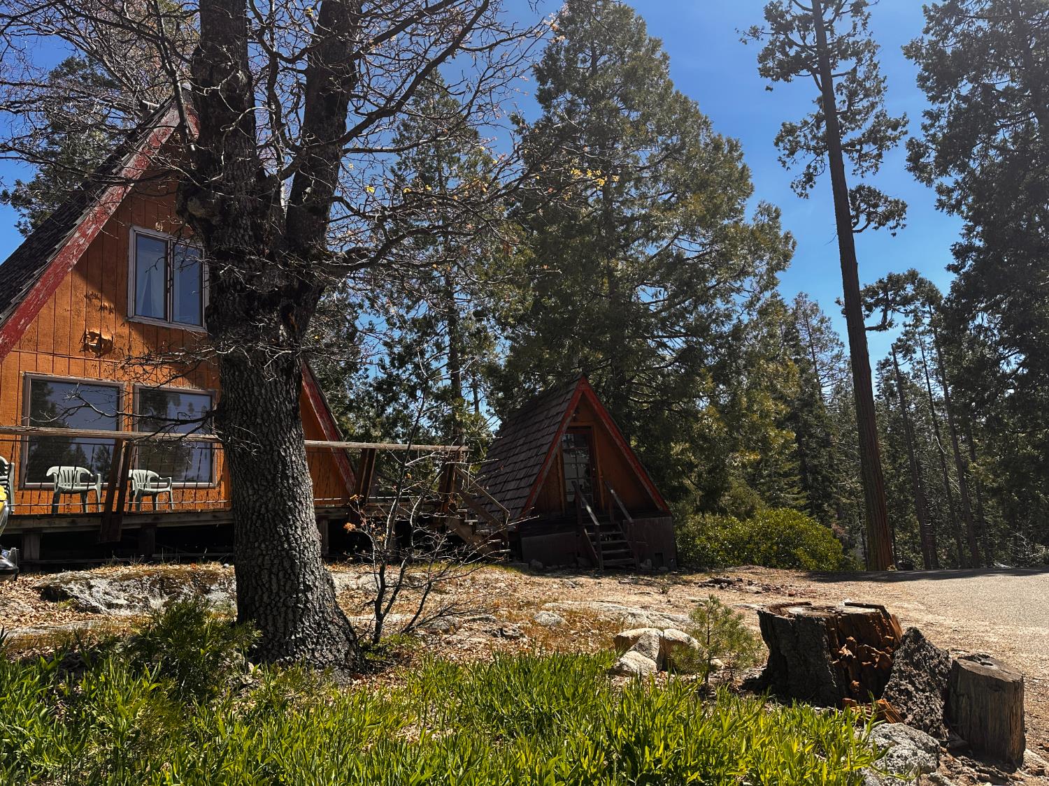 Single Family in Shaver Lake - photo 2