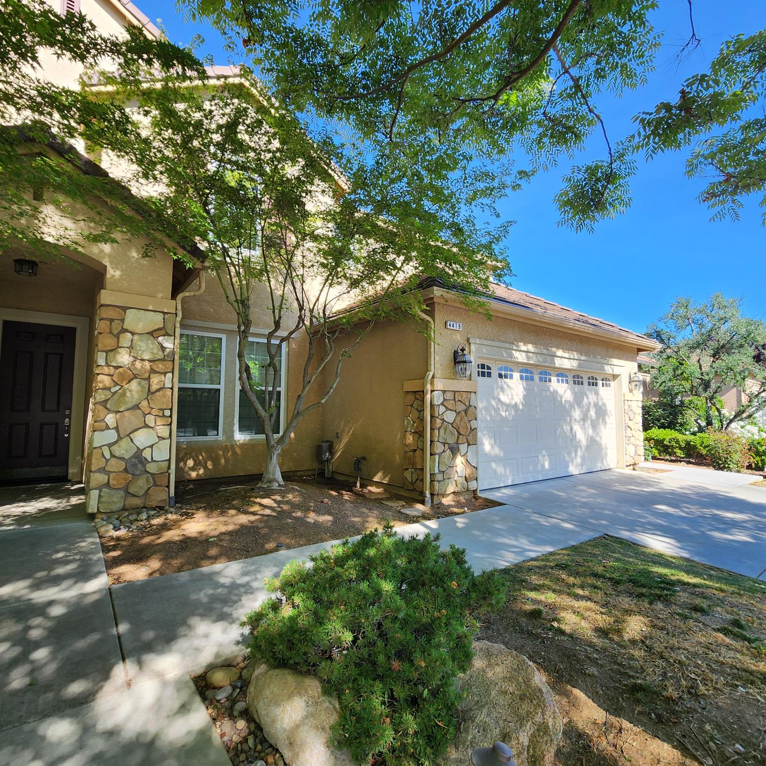 Single Family in Clovis - photo 3
