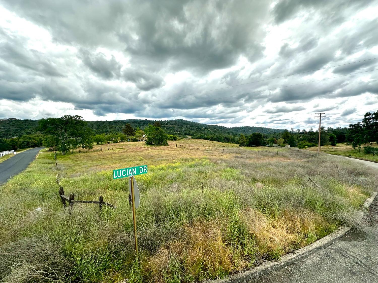 Vacant Lot in Coarsegold - photo 2