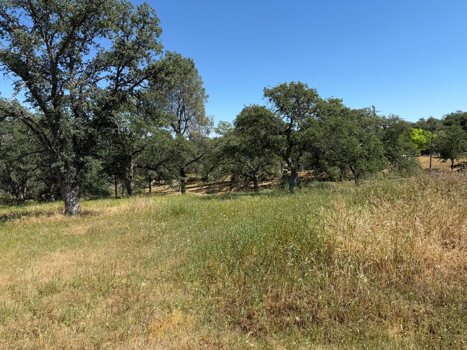 Vacant Lot in Coarsegold - photo 2