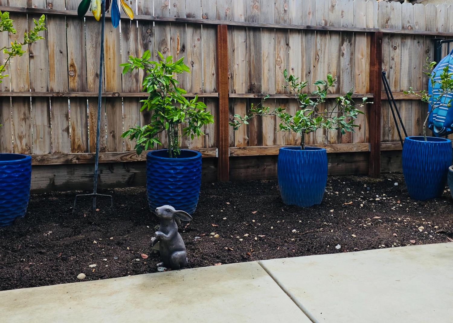 563 W Omaha Avenue, Clovis, CA, 93619