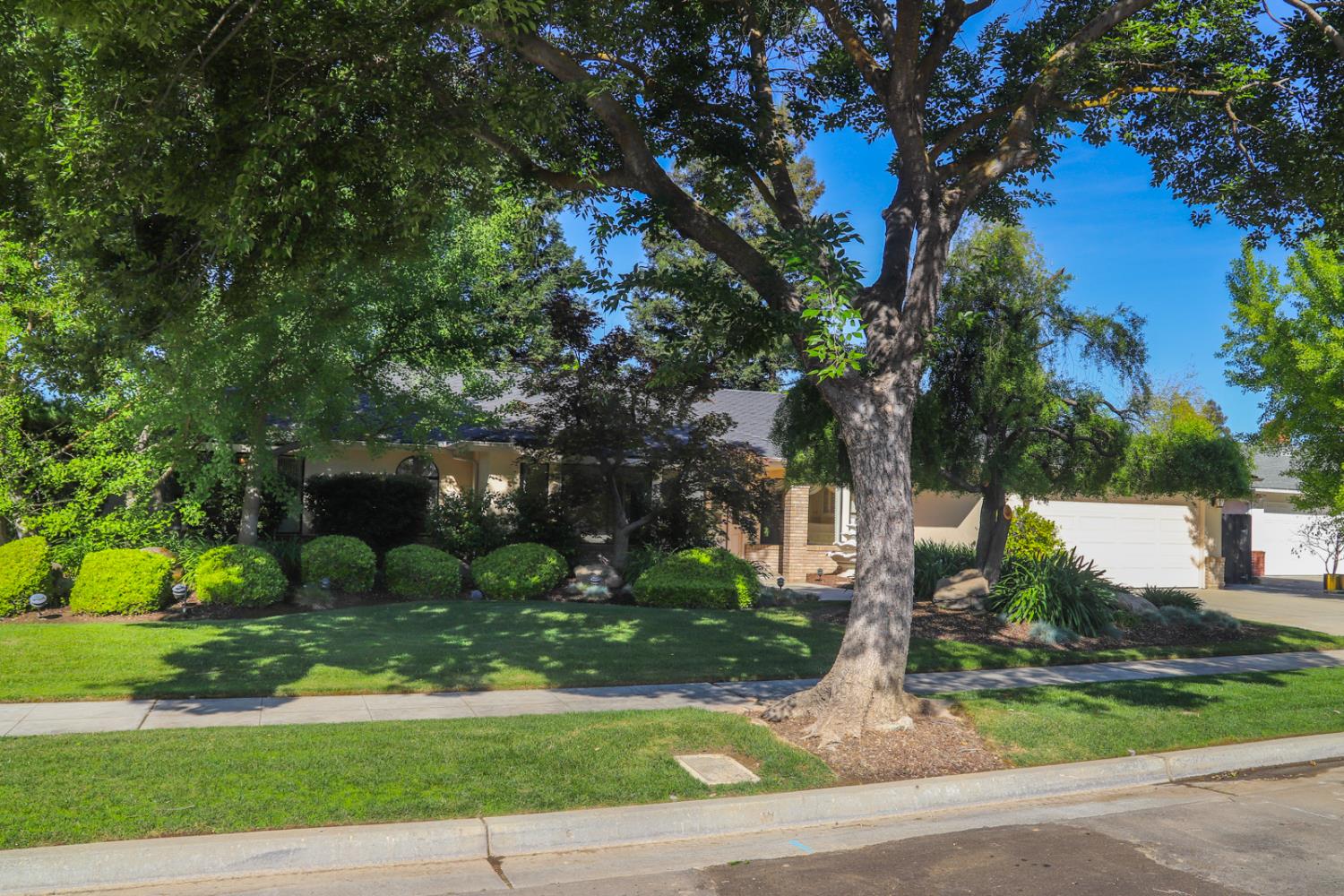 Single Family in Fresno - photo 3