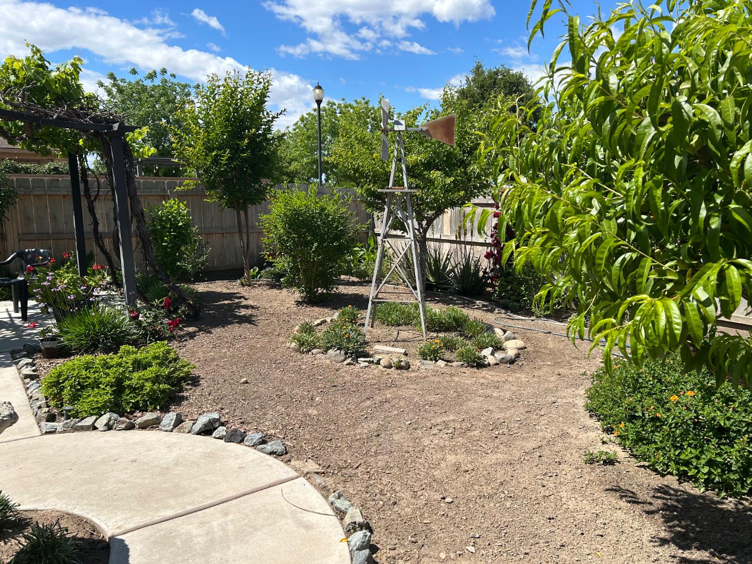 Photo 29