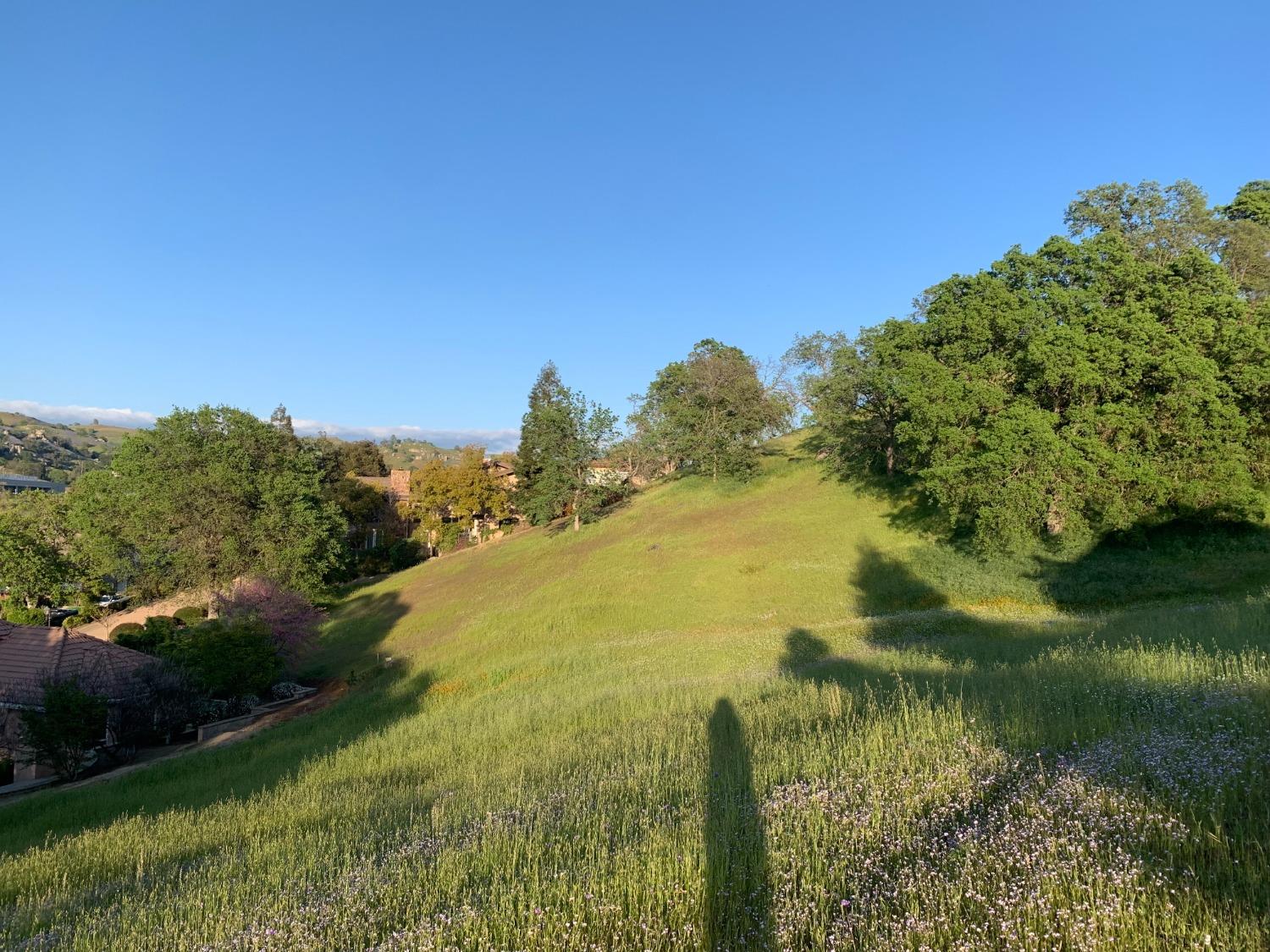 Vacant Lot in Friant - photo 3