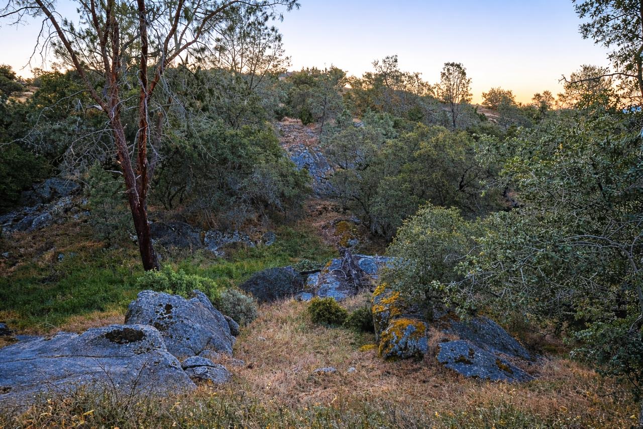 Vacant Lot in Coarsegold - photo 3