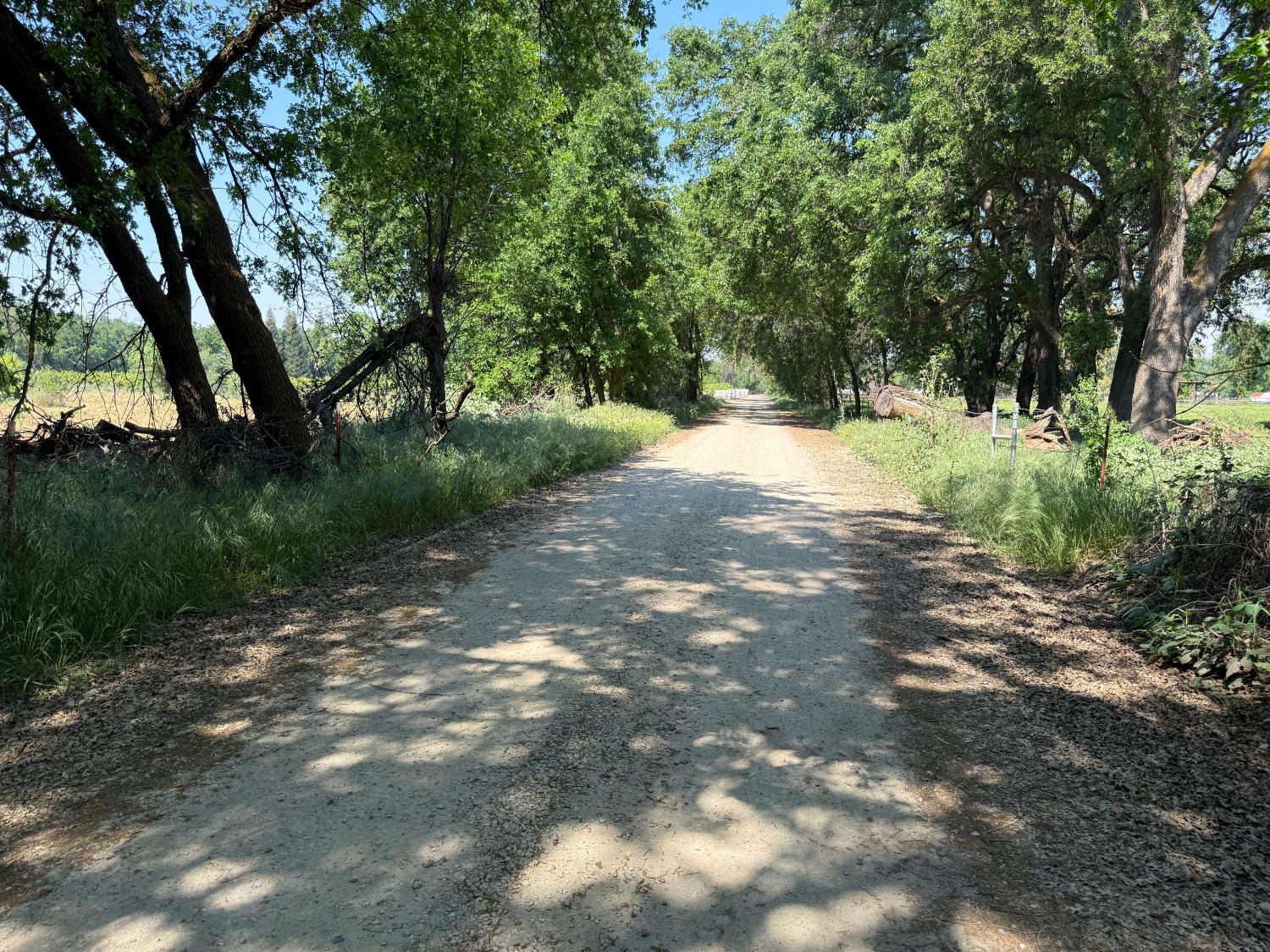 Vacant Lot in Sanger - photo 2