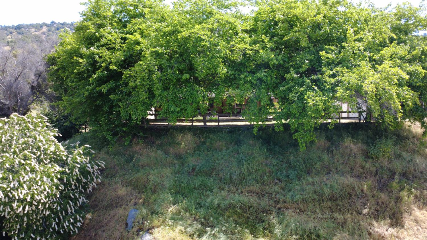 Photo 49