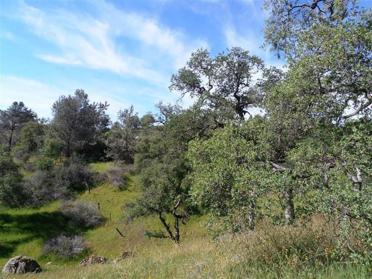 Vacant Lot in Clovis - photo 3