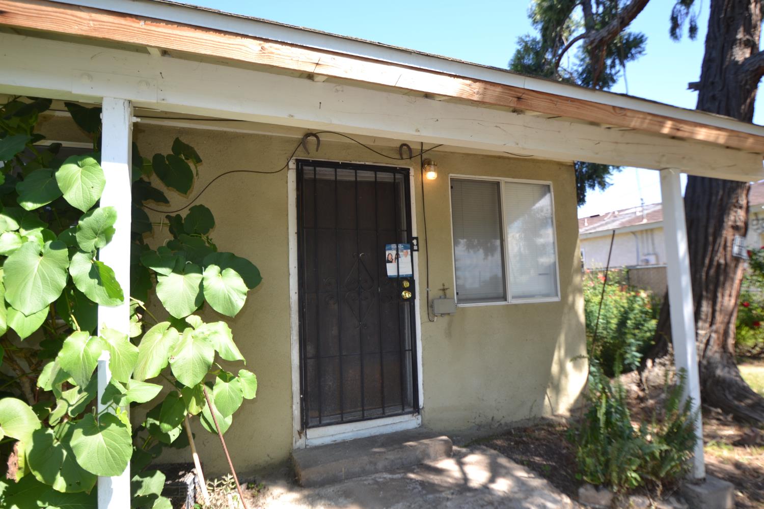 Single Family in Reedley - photo 3
