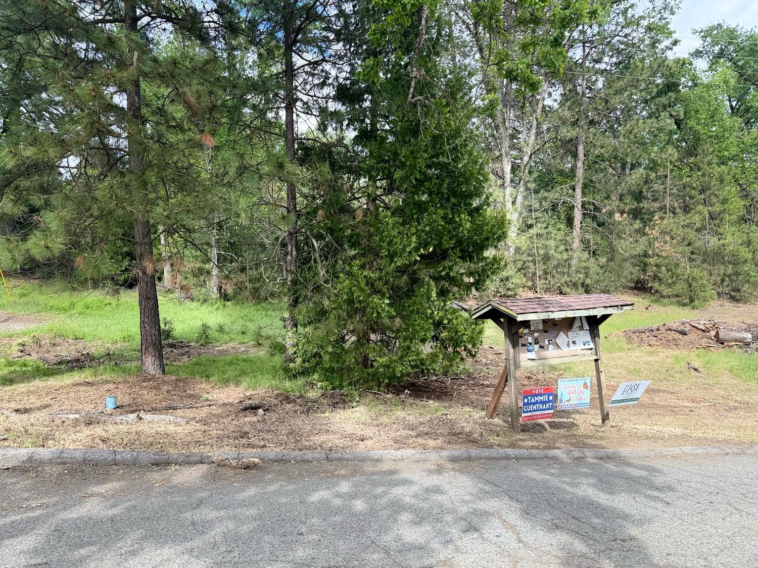 Vacant Lot in Mariposa - main photo
