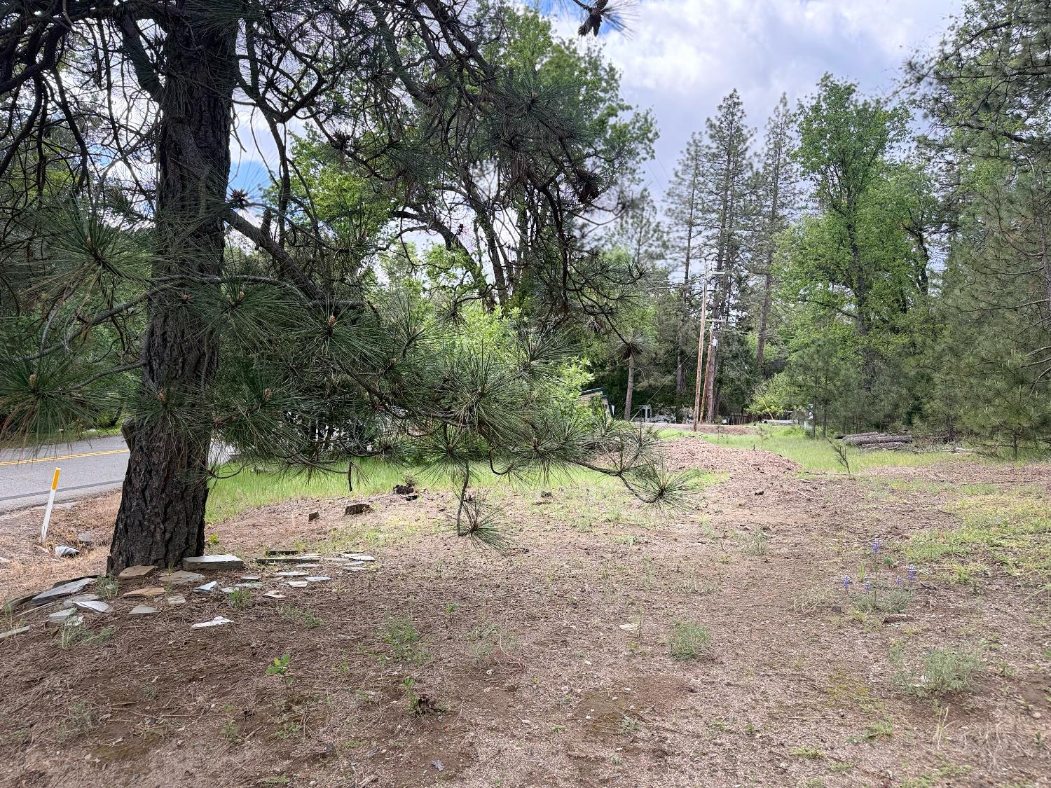 Vacant Lot in Mariposa - photo 3