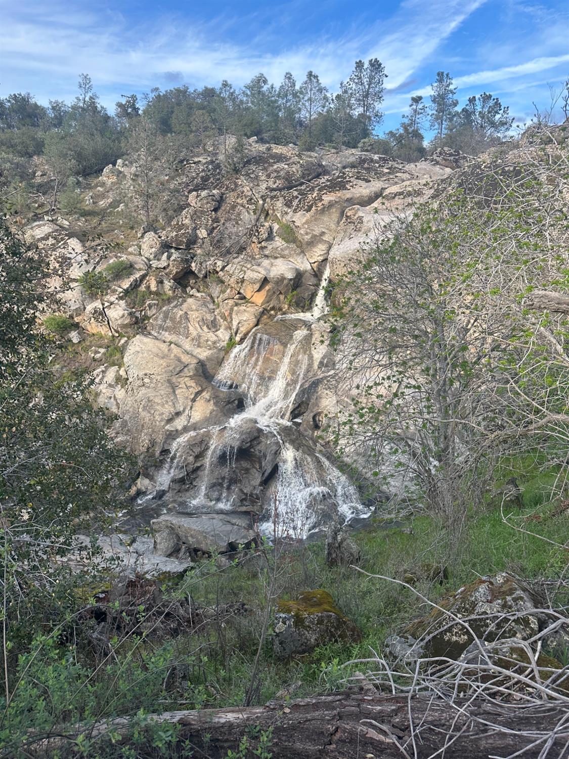 Vacant Lot in Coarsegold - photo 3