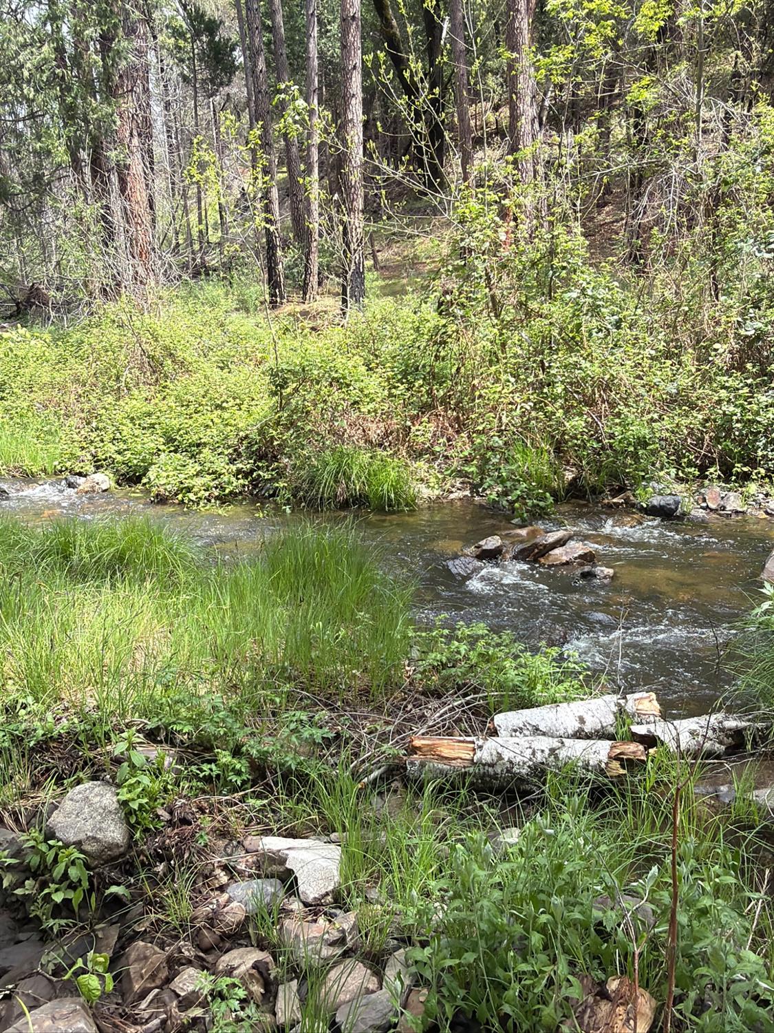 39 Anderson Valley Road, Coulterville CA 95311