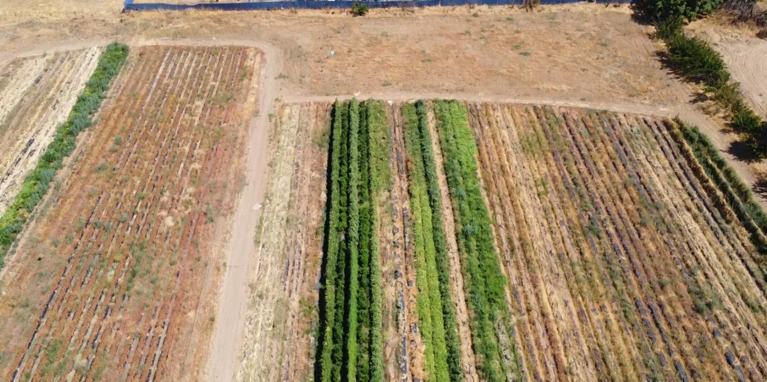 3228 W Clinton Avenue, Fresno, CA, 93722