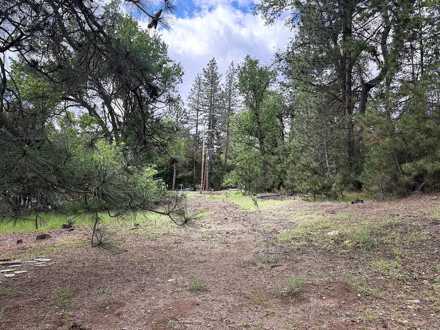 Vacant Lot in Mariposa - photo 2