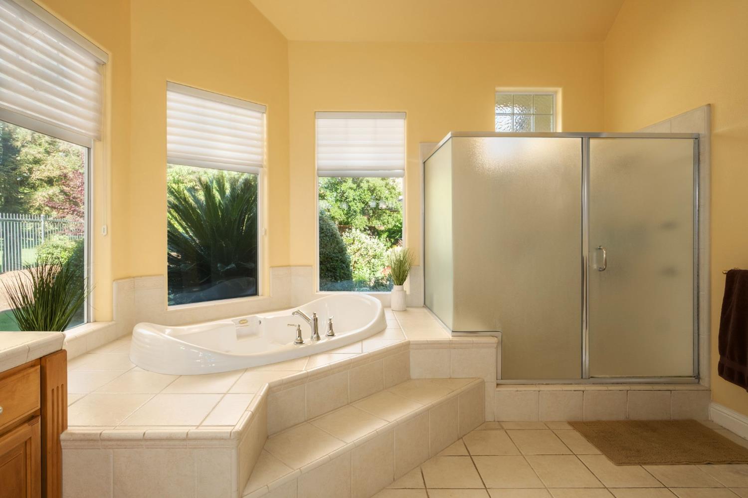 3386 E Via Monte Verdi Avenue, Clovis, CA, 93619