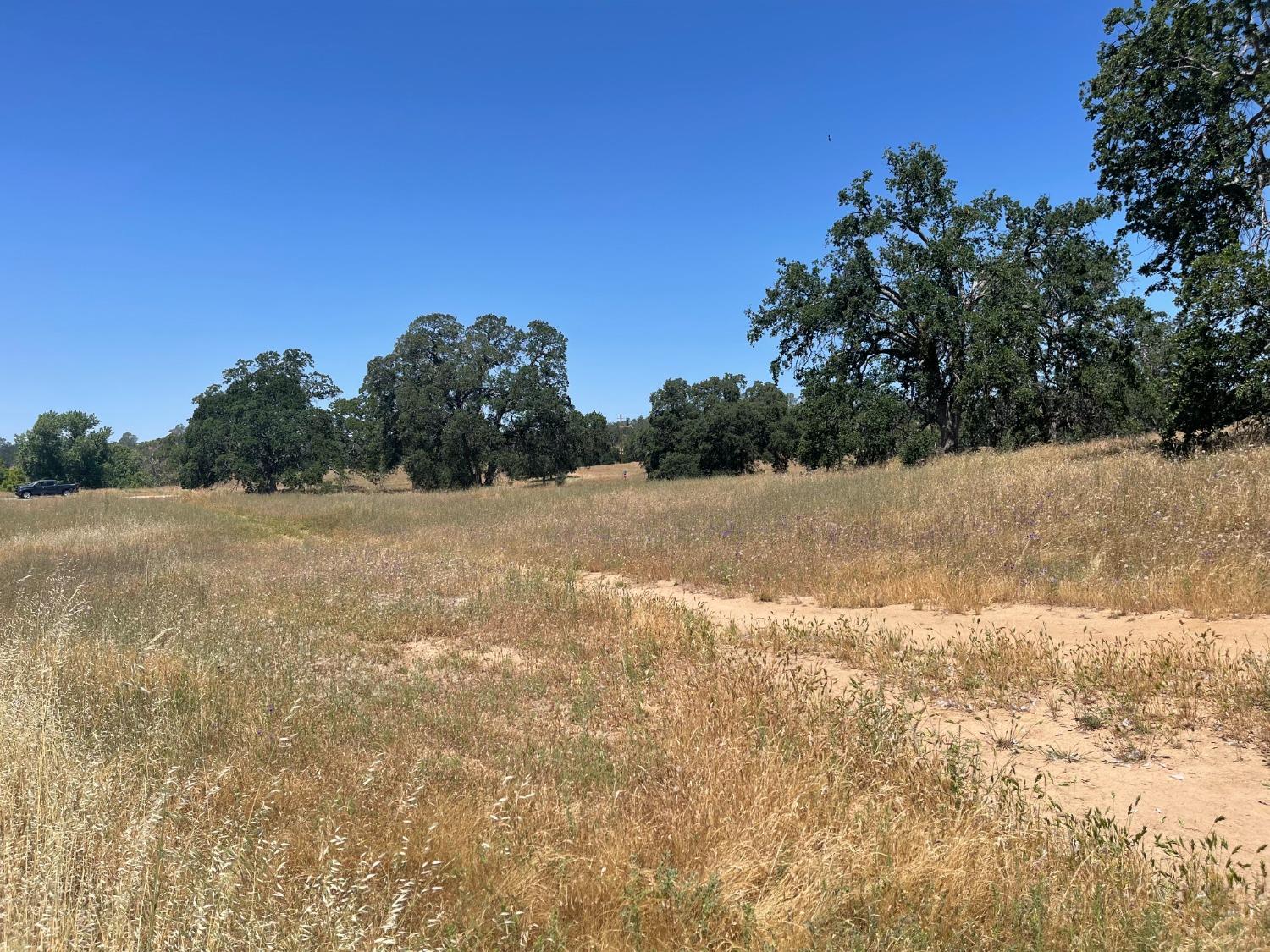 Vacant Lot in Coarsegold