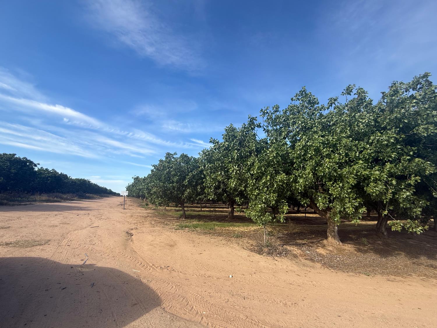 Vacant Lot in Madera - photo 2