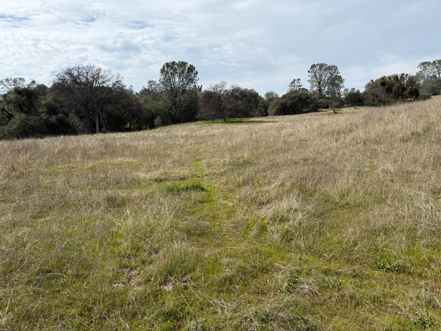 Vacant Lot in Coarsegold - photo 2