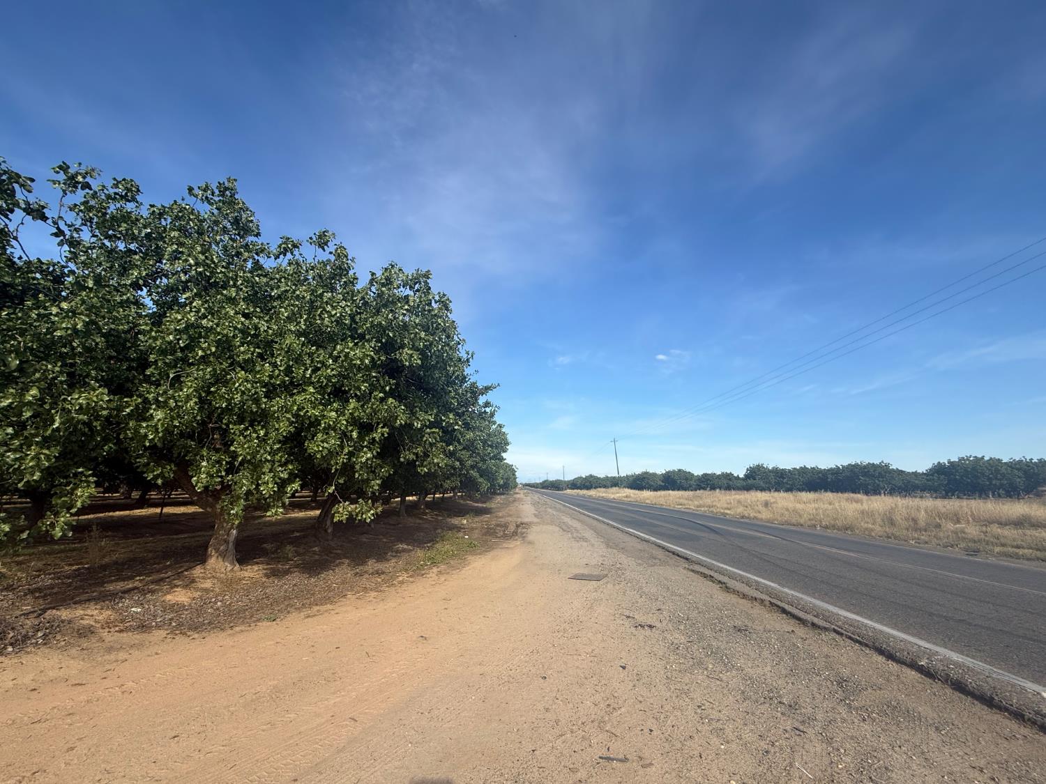 Vacant Lot in Madera - photo 3