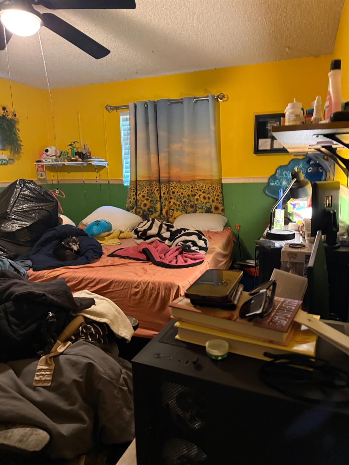 Photo 17