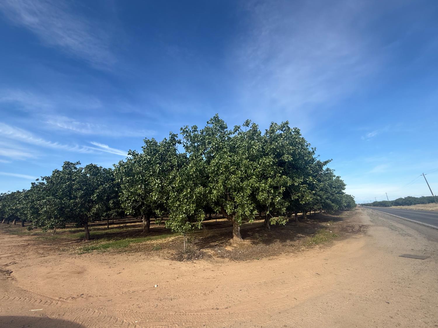 Vacant Lot in Madera