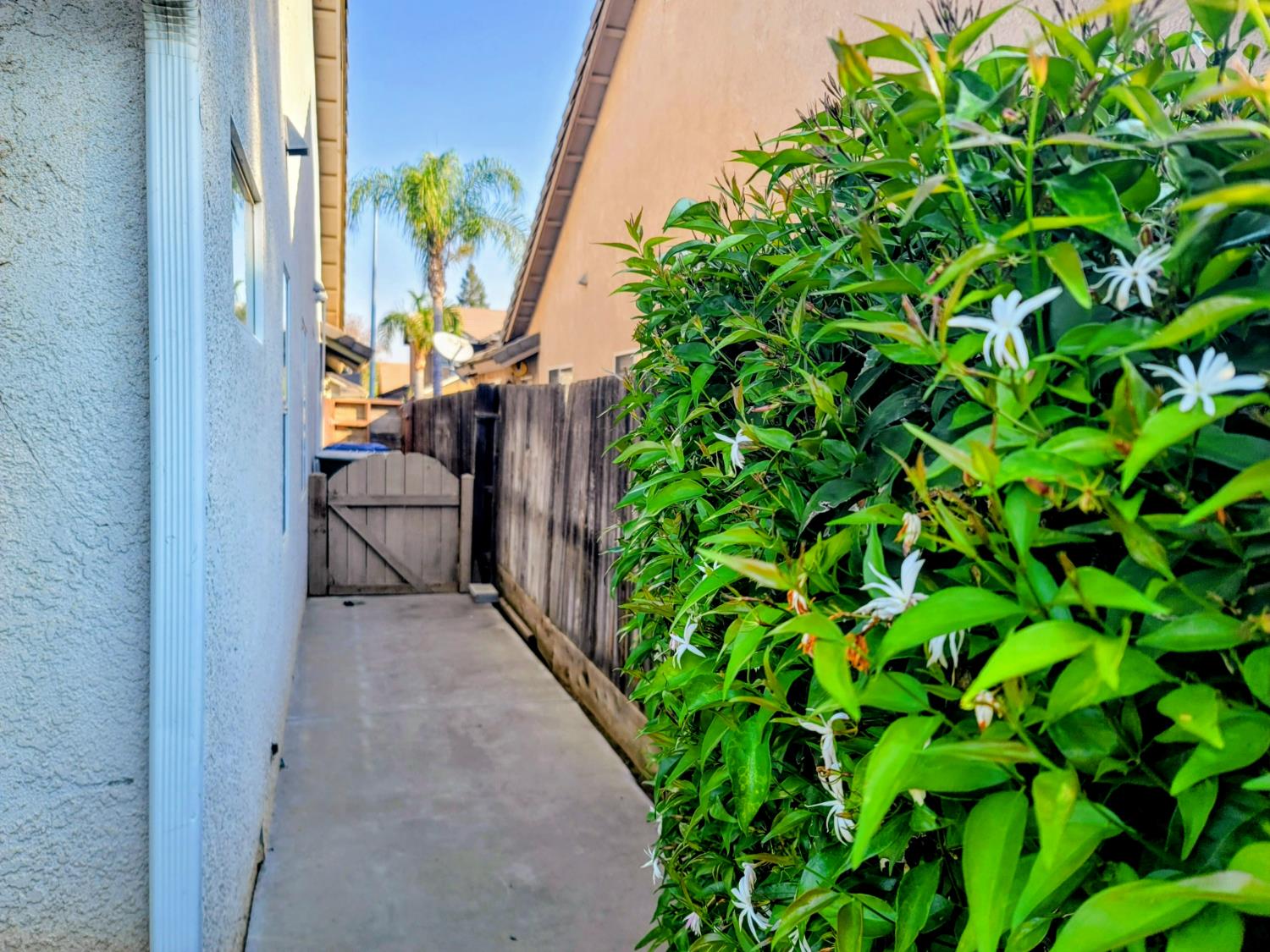 Photo 32