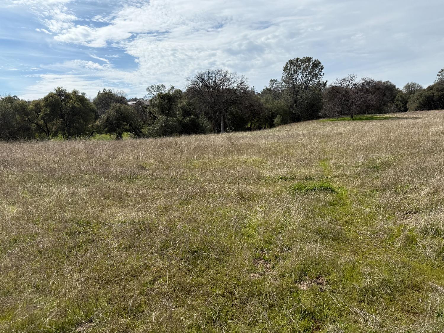 Vacant Lot in Coarsegold - photo 3