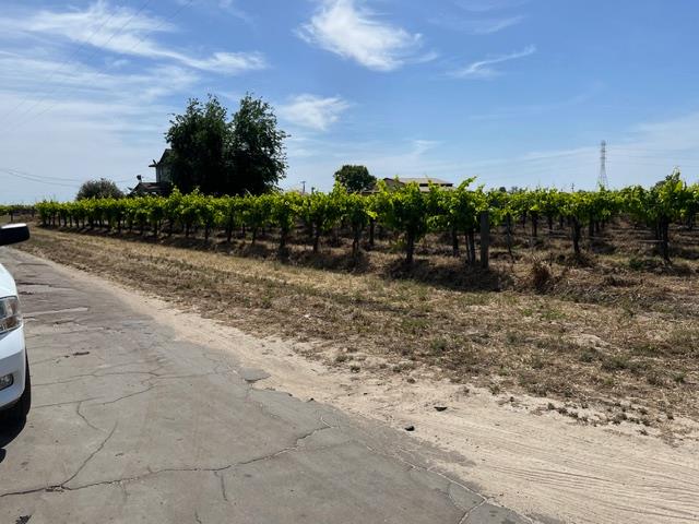 Farm in Raisin City - photo 3