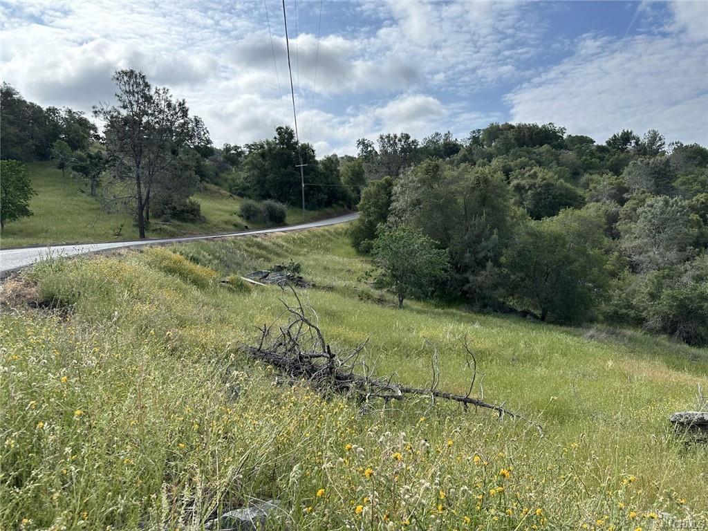 Vacant Lot in Coarsegold