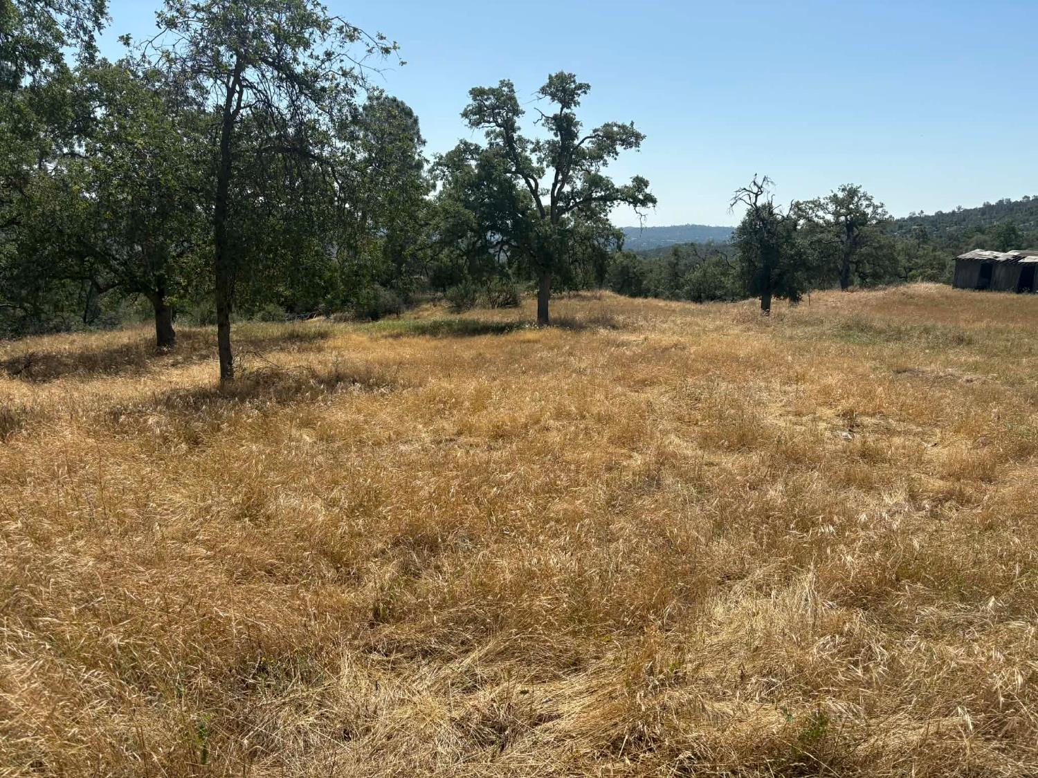 Vacant Lot in Coarsegold - photo 2
