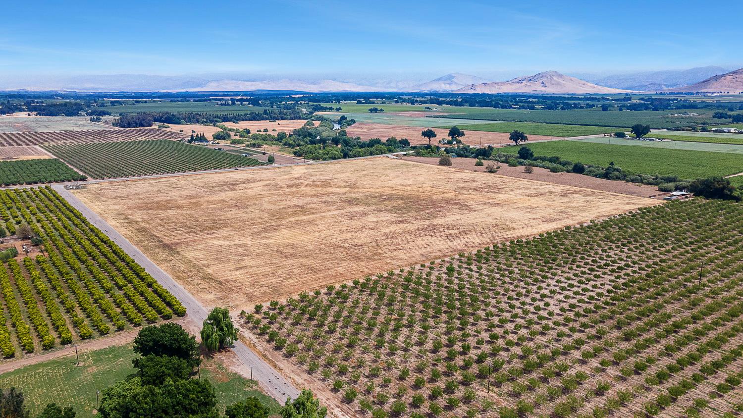 Farm in Sanger - photo 3