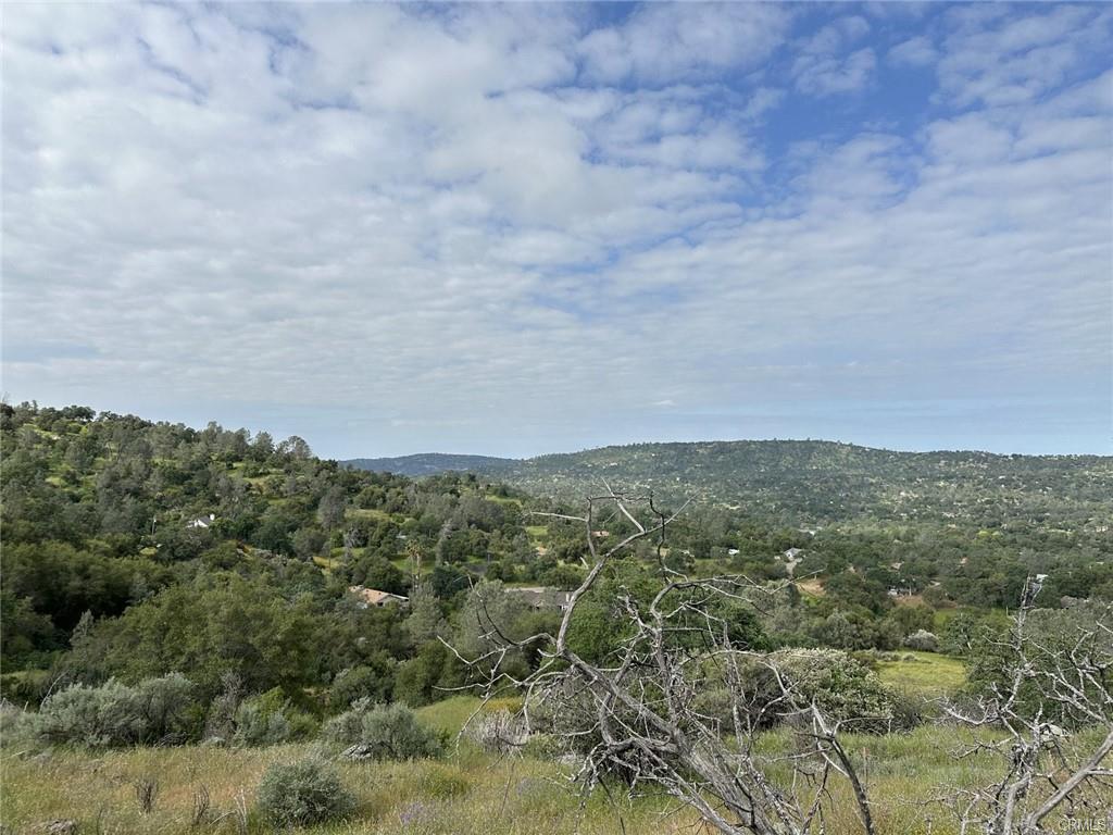 Vacant Lot in Coarsegold - photo 3