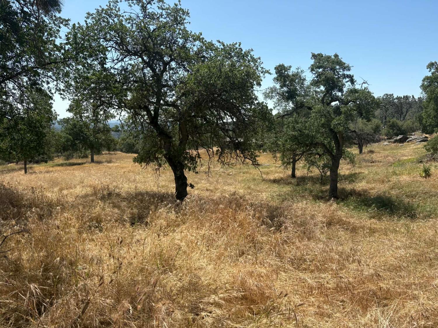 Vacant Lot in Coarsegold - photo 3