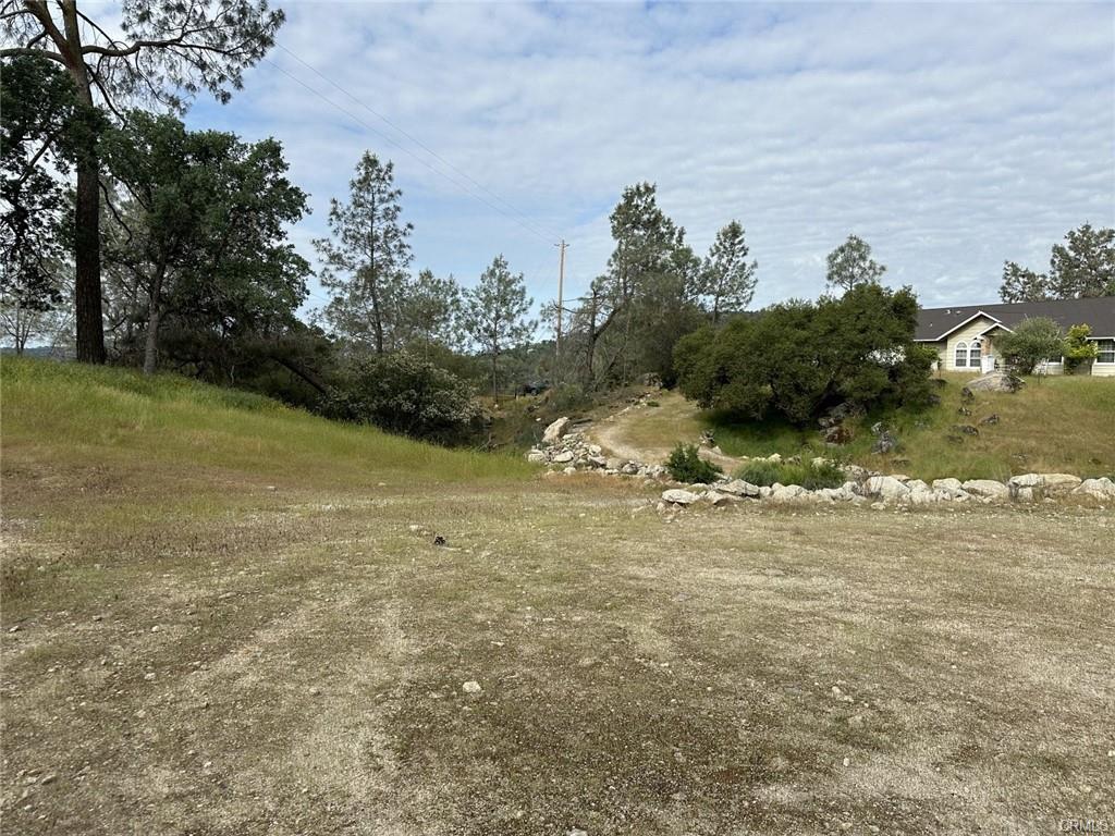 Vacant Lot in Coarsegold - photo 2