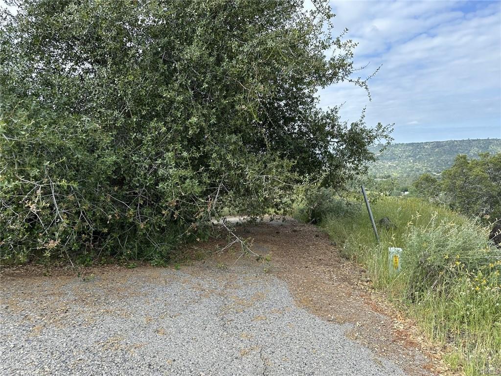 Vacant Lot in Coarsegold - photo 2