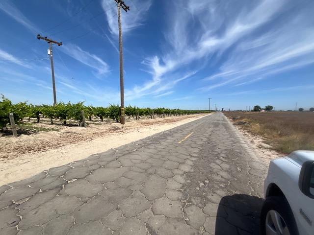 Farm in Raisin City