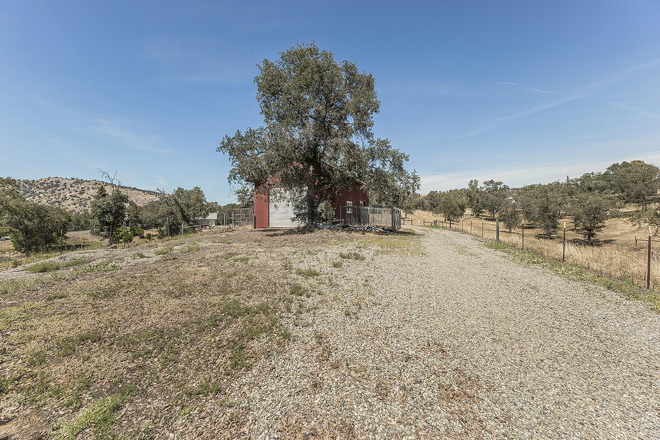 Photo 52