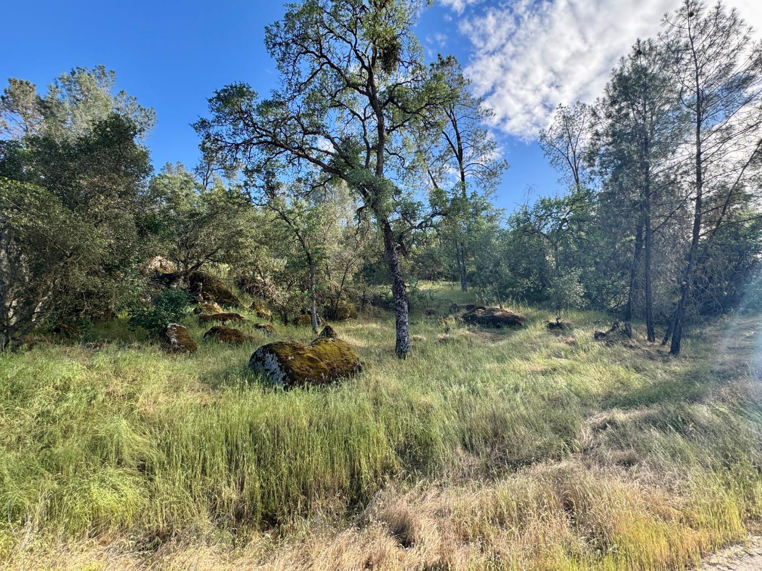 Vacant Lot in Coarsegold - photo 2