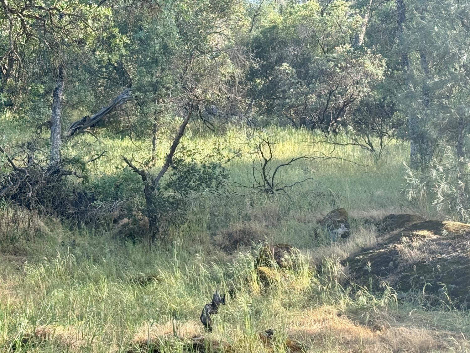 1 Road 400, Coarsegold CA 93614