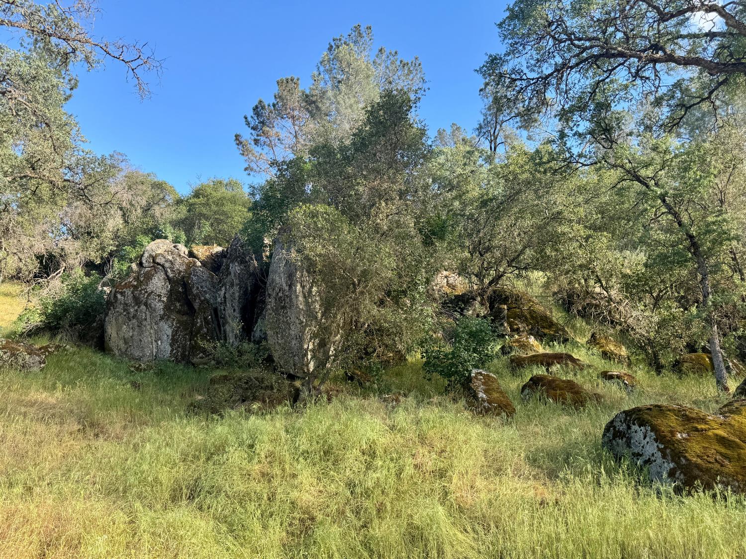 Vacant Lot in Coarsegold - photo 3