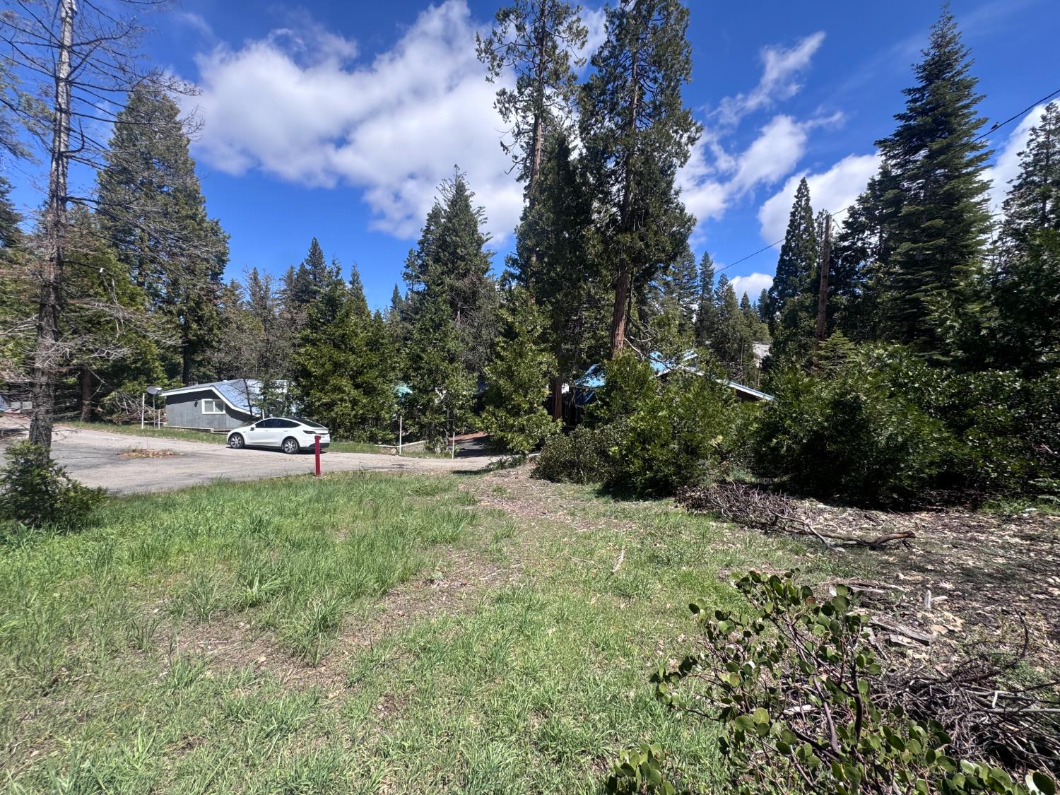 42156 Digger Avenue, Shaver Lake, CA, 93664