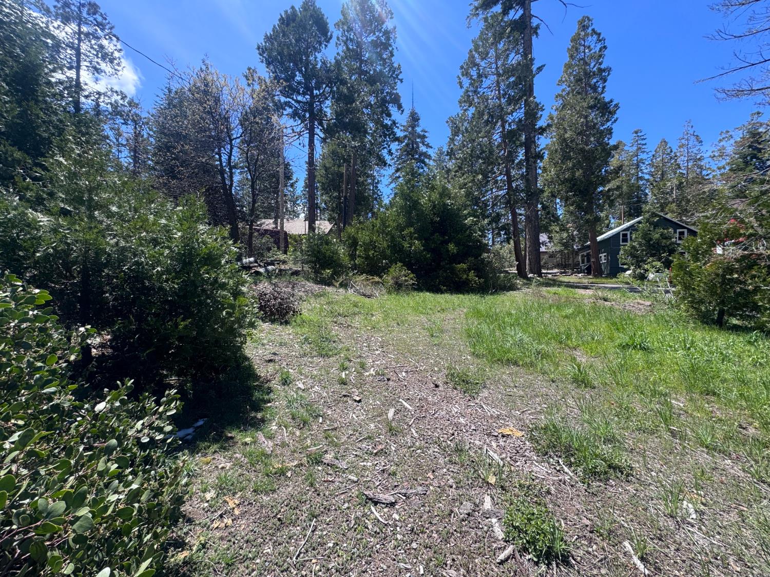 42156 Digger Avenue, Shaver Lake, CA, 93664