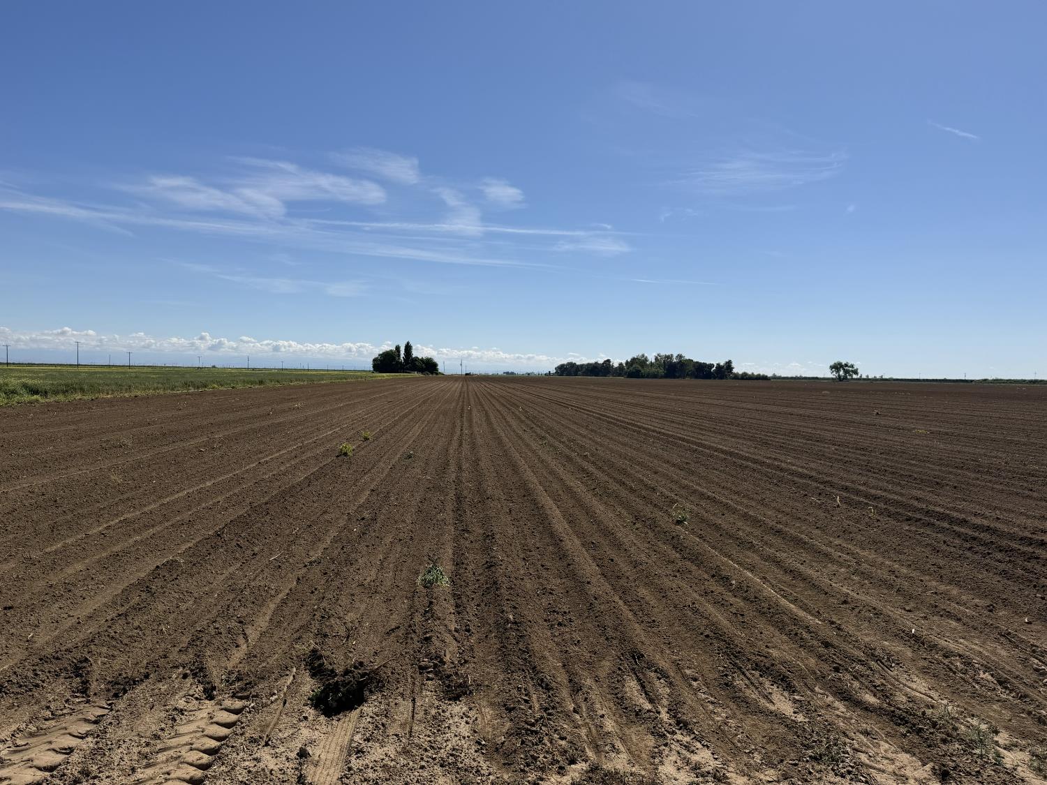 8841 Cross Road, Chowchilla, CA, 93610