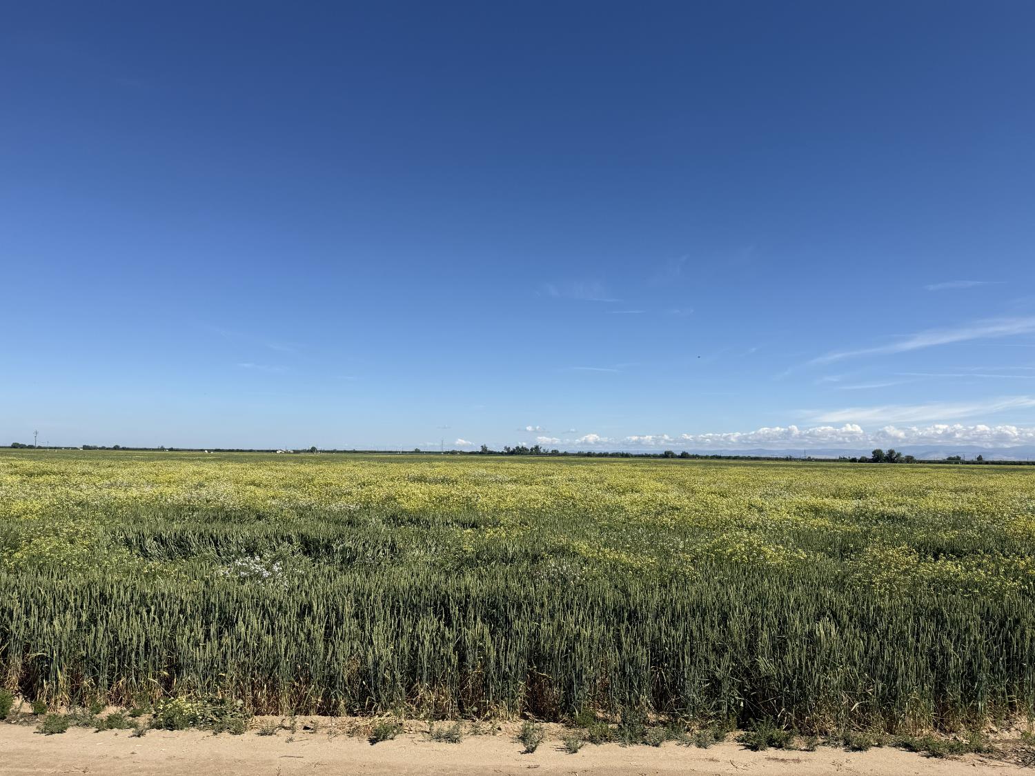8841 Cross Road, Chowchilla, CA, 93610