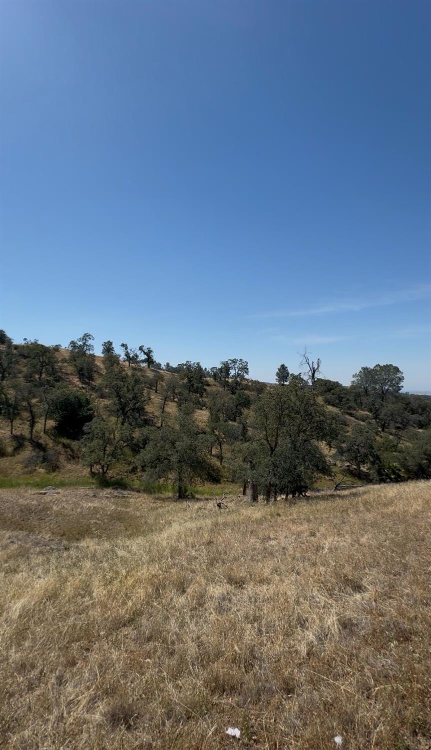 Vacant Lot in Coarsegold - photo 3
