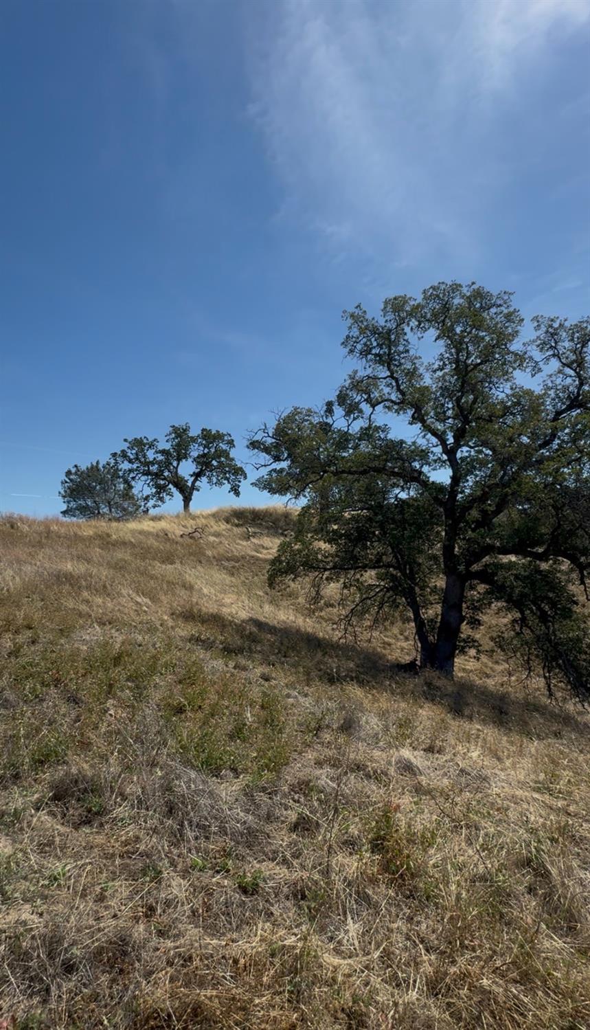 Vacant Lot in Coarsegold - photo 2