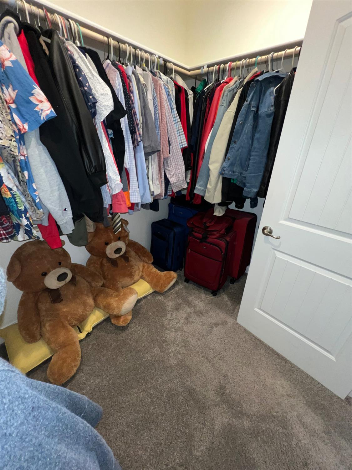 Photo 37